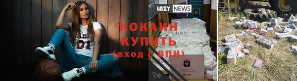 молекула духа Богородск