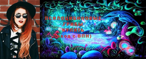 молекула духа Богородск