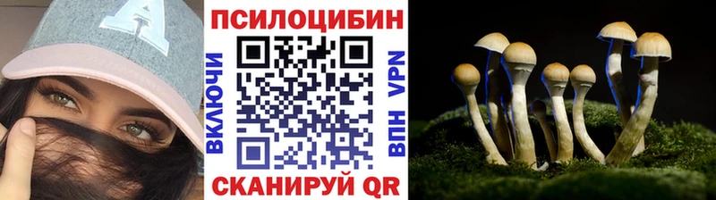 купить наркотик Салават Псилоцибиновые грибы ЛСД